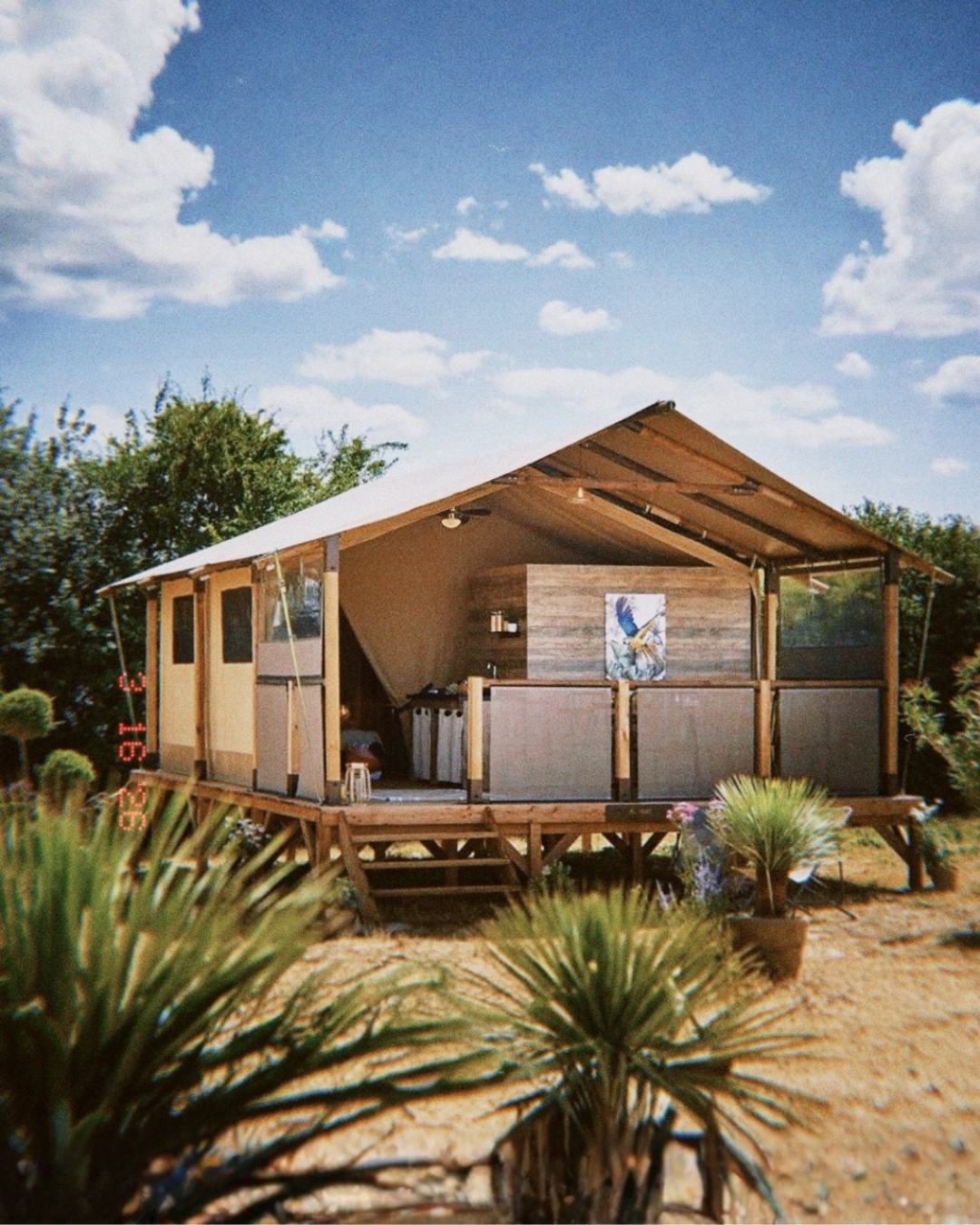 Lodge Woofcamp