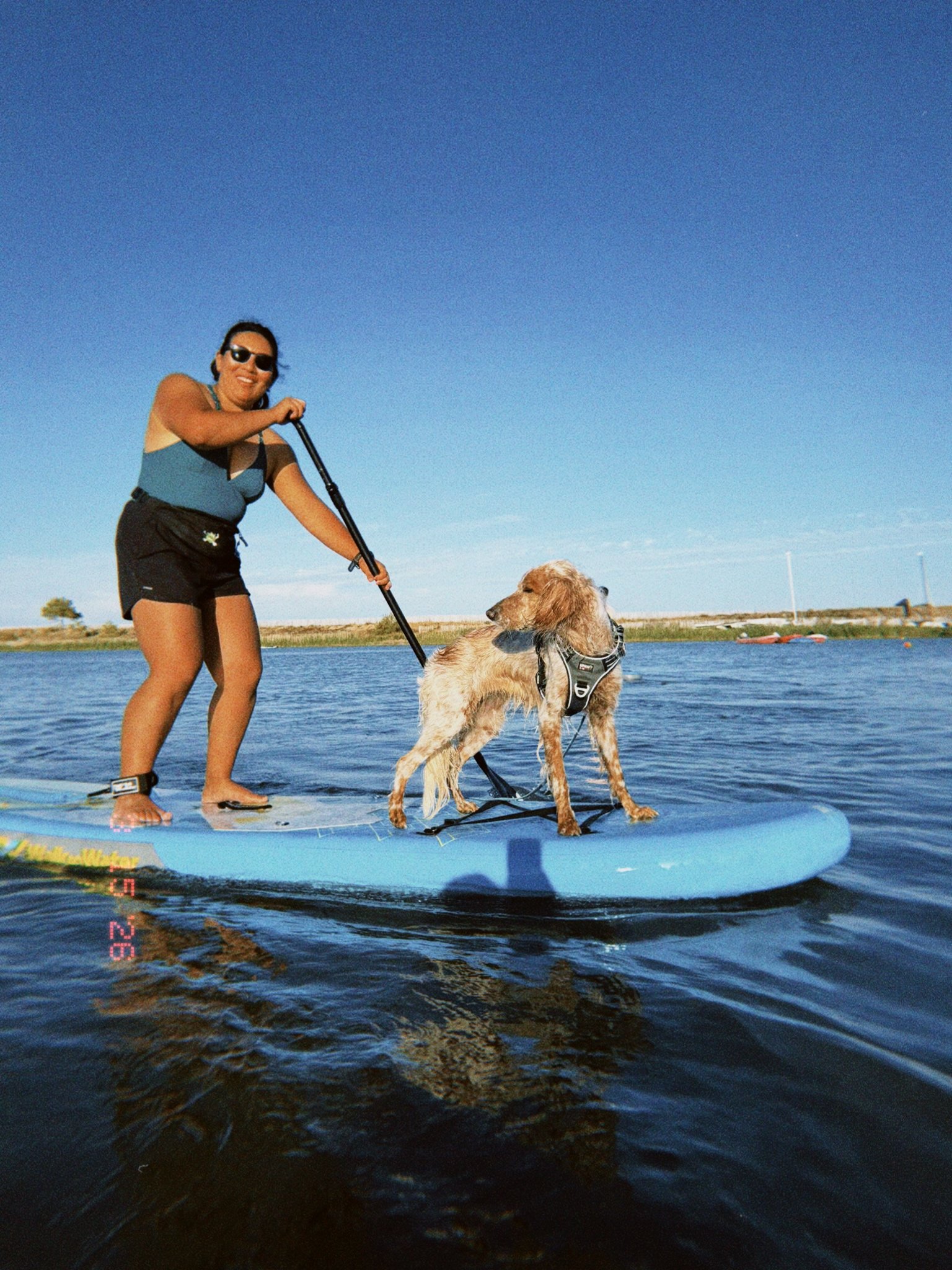 Espaces nature pour les chiens