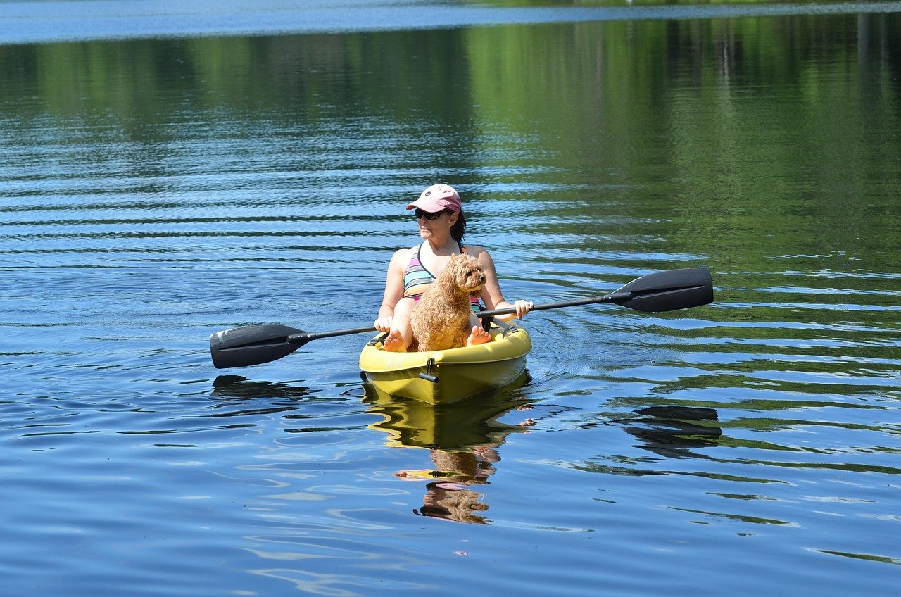 Cani-paddle au Woofcamp