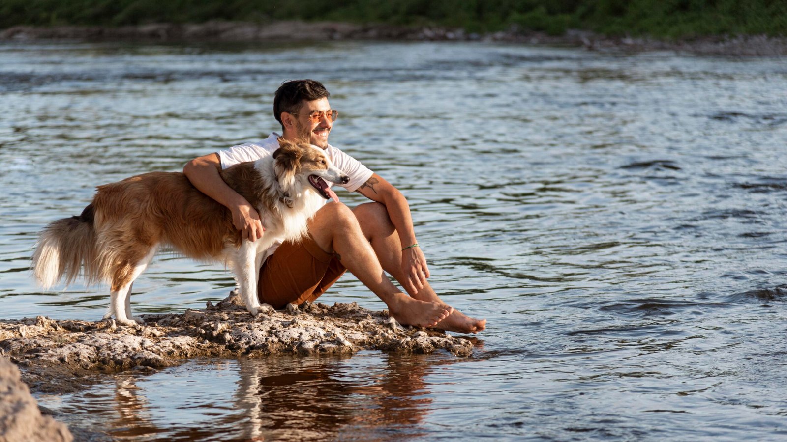 Complicité entre un humain et son chien